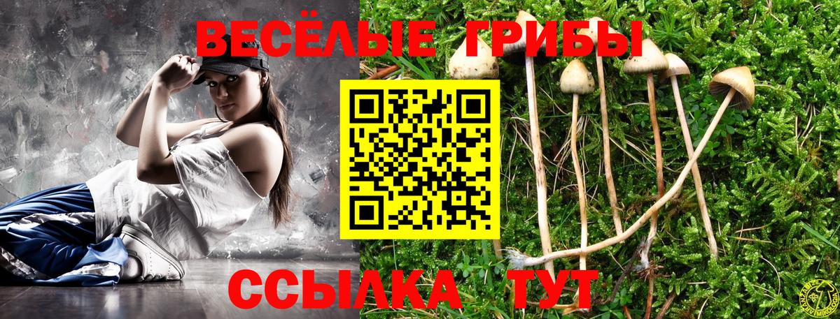 Псилоцибиновые грибы GOLDEN TEACHER  Псилоцибиновые грибы ЛСД  Спасск-Дальний  Вход с VPN 