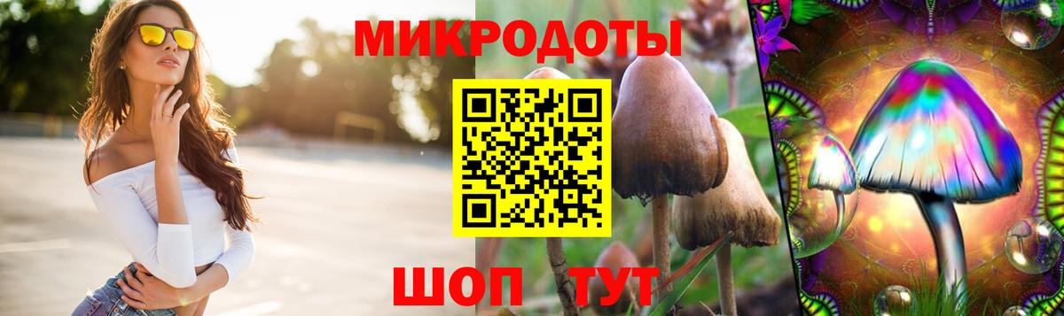 Псилоцибиновые грибы мухоморы Спасск-Дальний